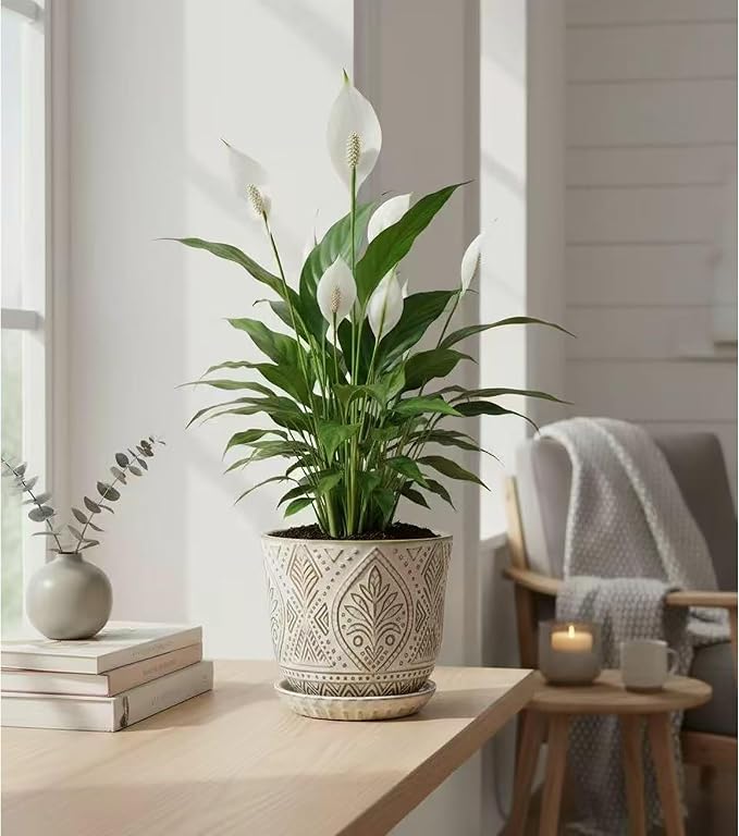 Gepege Ceramic Plant Pots, 6 Inch Indoor Planters with Drainage & Saucers | Ceramic pots for plants with drainage holes, ceramic saucers and mesh pads, ideal for flowers, herbs and succulents, set of 2