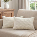 Fancy Homi 2 Packs Cream Long Lumbar Decorative Throw Pillow Covers 12x24 Inch for Couch Bed Sofa, Modern Farmhouse Boho Home Decor, Soft Cute Plush Corduroy Rectangle Cushion Case 30x60 CM