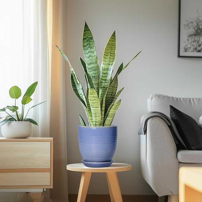 6 Inch Ceramic Pots for Plants - Ceramic Plant Pots with Drainage Hole and Saucer, Flower Pot for Indoor Plants, Round Modern Planter, Apartment Decor, Housewarming Gifts, Blue-Purple