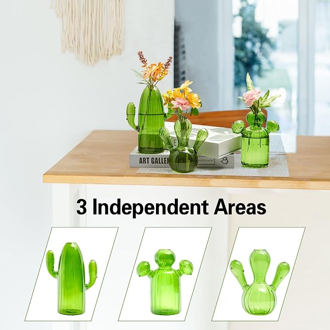 XXXFLOWER Cactus Plant Propagation Station 3 Cactus Vase Terrarium Jars | Desk Plant Cuttings Plant Holders Unique Glass Flower Vase for Hydroponics Plants for Plant Lovers Home Garden Decor