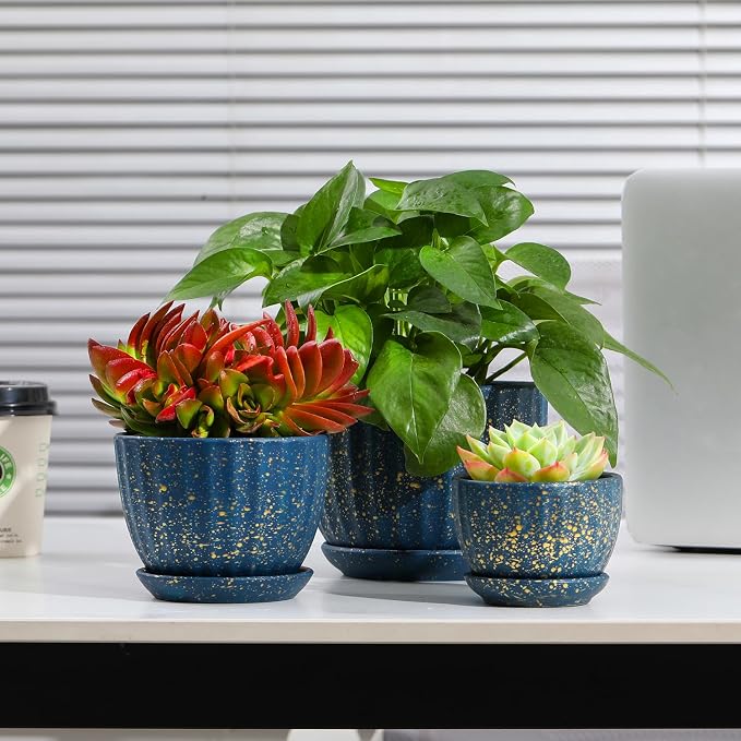 Ceramic Plant Pots with Saucers, Round Blue Flower Pots for Indoor Plant | Small Flower Planters with Drainage Holes, Diameter 3.3/4.3/5.5 Inches, Set of 3