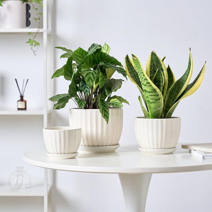 STHIE 4/5/6 Inches White Ceramic Plant Pots with Drainage Holes and Saucer | Set of 3 Round Planter for Small Indoor/Outdoor Plants with Modern Stripes Design, Decorative Flower Pots