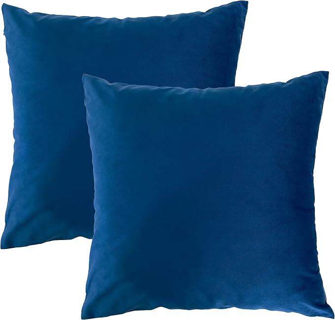 RELY+ Pack of 2 Throw Pillow Covers 18x18 Inch Velvet Soft Cozy Solid Decoration Gifts Pillow Covers Luxury Cushion Case for Sofa Couch Bedroom Living Room (Blue, 18 X 18)