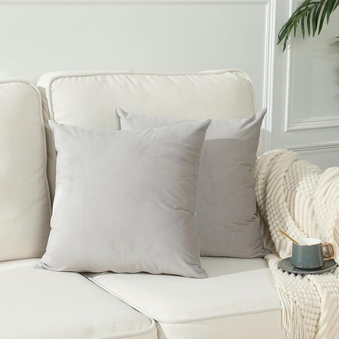 Stellhome Soft Velvet Throw Pillow Covers Square Decorative Cushion Covers for Bed Couch Sofa Bench, 18 x 18 inch (45 x 45 cm), Silver Gray, Pack of 2