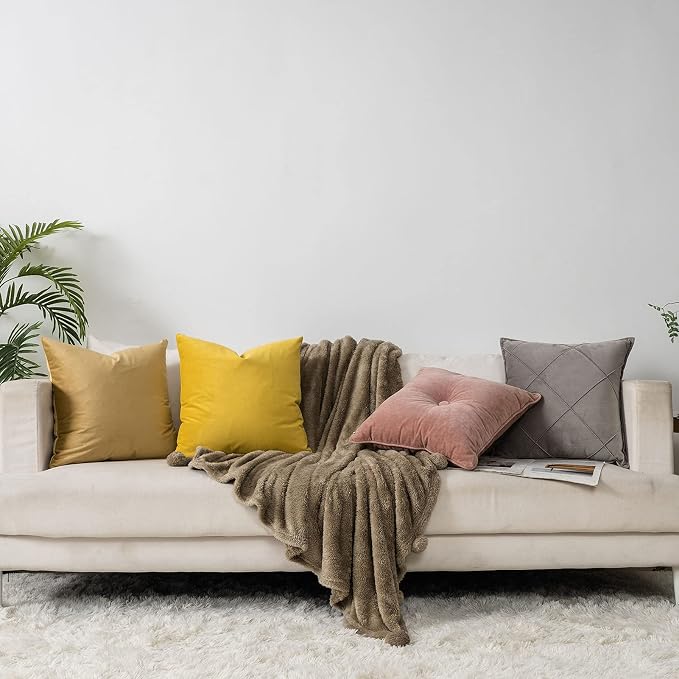 Lemon Decorative Lumbar Velvet Throw Pillow Covers 24x24 inch Set of 2 with Zipper Luxury Soft Solid Square Cushion Covers Case for Sofa Couch Bed Living Room