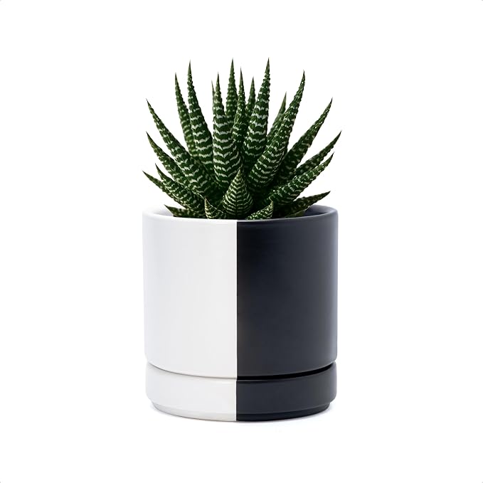 D'vine Dev 4.7 Inch Ceramic Planter Pot, Black White Split, 94-O-B-0 | Modern Cylinder Design, Drainage Hole & Saucer Included, Stable Structure, Elegant Home Accent