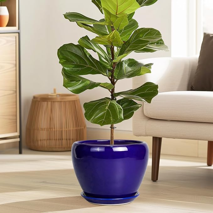 Ceramicfor Ceramic Plant Pot 8 Inch, Planter for Indoor Plants, Royal Blue | Indoor Plant Pot with Drainage Hole and Saucer, Round Planter, Modern Flower Pot, House Decor, Plant Lovers Gifts