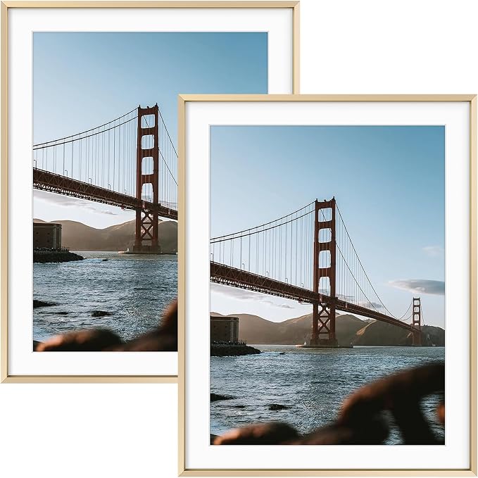 Frametory 14x18 Gold Aluminum Metal Picture Frame Mat for 12x16 Glass