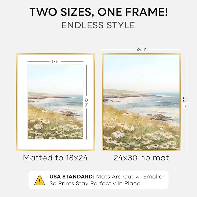 Homeforia 24x30 Gold Picture Frame, High-End Metal, 18x24 Mat, Glass