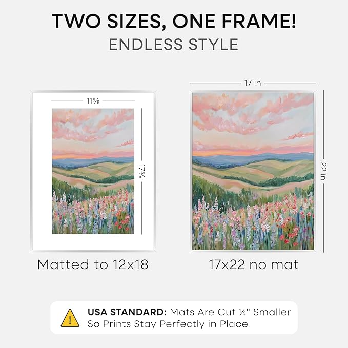 Homeforia 17x22 Silver Picture Frame, High-End Metal, 12x18 Mat, Glass