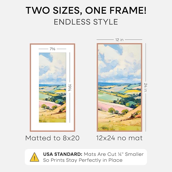 Homeforia 12x24 Rose Picture Frame, High-End Metal, 8x20 Mat, Glass