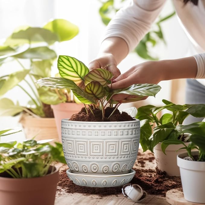 G EPGardening Ceramic Pots for Plants - 5 Inch Plant Pot Indoor with Drainage Hole and Saucer, Outdoor Flower Pot, Decorative Round Planter for Succulent Orchid Snake Plants, White