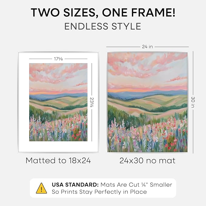 Homeforia 24x30 Silver Picture Frame, High-End Metal, 18x24 Mat, Glass