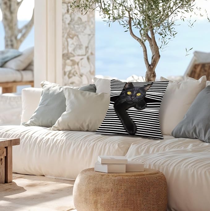 Funny Moody Black Cat Pillow Covers Covers18x18 - Set of 2, Cat Room Decor, Whimsical Kitten Striped Decorative Throw Pillow Covers Pillowcases for Bedroom Living Room Home Decor