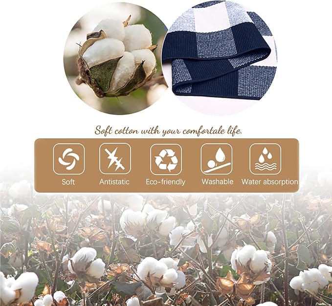KILOCOCO Buffalo Plaid Checkered Rug 3x5 ft Blue and White Front Door Rug | Machine Washable Front Porch Rug, Outdoor Indoor Entryway Rug, Cotton Layered Doormat, Low Pile Rugs for Kitchen Patio