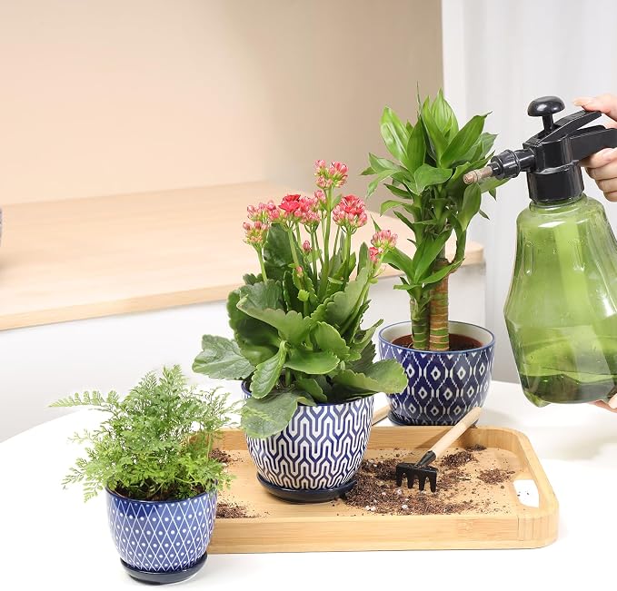 Selamica Ceramic Succulent Pots, 4.6 Inch Small Plant Pots with Drainage Holes & Saucers, Succulent Planters for Indoor Plants Cactus, Home Decor, Set of 6, Vintage Blue