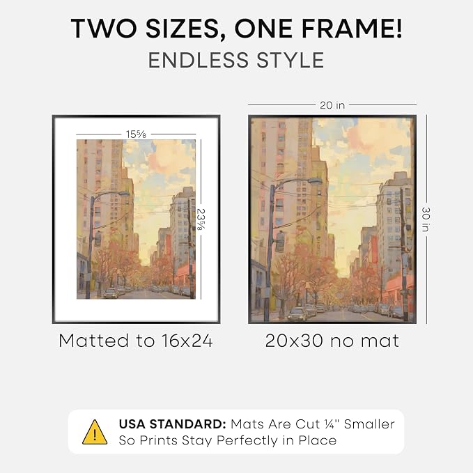 Homeforia 20x30 Black Picture Frame, High-End Metal, 16x24 Mat, Glass