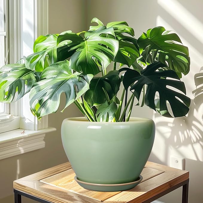 Ceramicfor Ceramic Planter Pot, 10 Inch Plant Pot, Reactive Green | Decorative Planter with Drainage Hole and Saucer, Large Round Flower Pot for Indoor Plants, Garden Decor