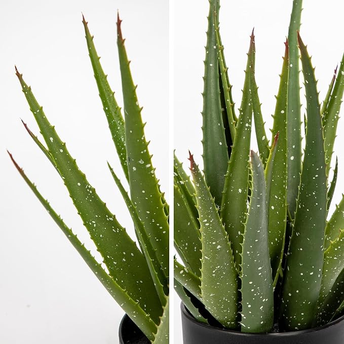 GnFlus Large Fake Succulent Aloe Vera Plants 16.5 Inch Artificial Succulents with Black Pot Faux Aloe Potted Plant for Desk Modern Home Office Bedroom Living Room Table Shelf Decor