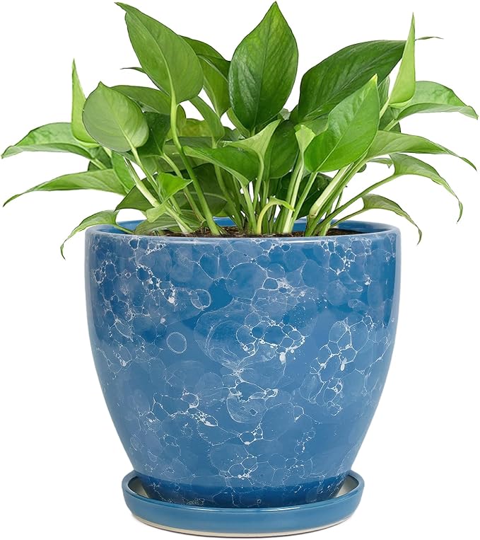 6 Inch Ceramic Plant Pot - Ceramic Planters Indoor, Blue | Round Decorative Planter with Drainage Hole and Saucer, Modern Planters, Desk Office Decor, Housewarming Gifts