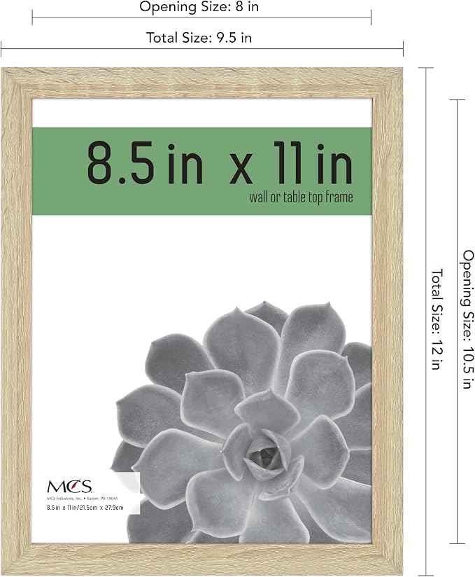 MCS Gallery Essential Certificate Document Frame Set, Gallery Wall Frames F