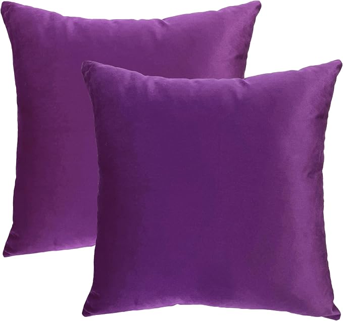 RELY+ Pack of 2 Throw Pillow Covers 18x18 Inch Velvet Soft Cozy Solid Decoration Gifts Pillow Covers Luxury Cushion Case for Sofa Couch Bedroom Living Room (Purple, 18 X 18)