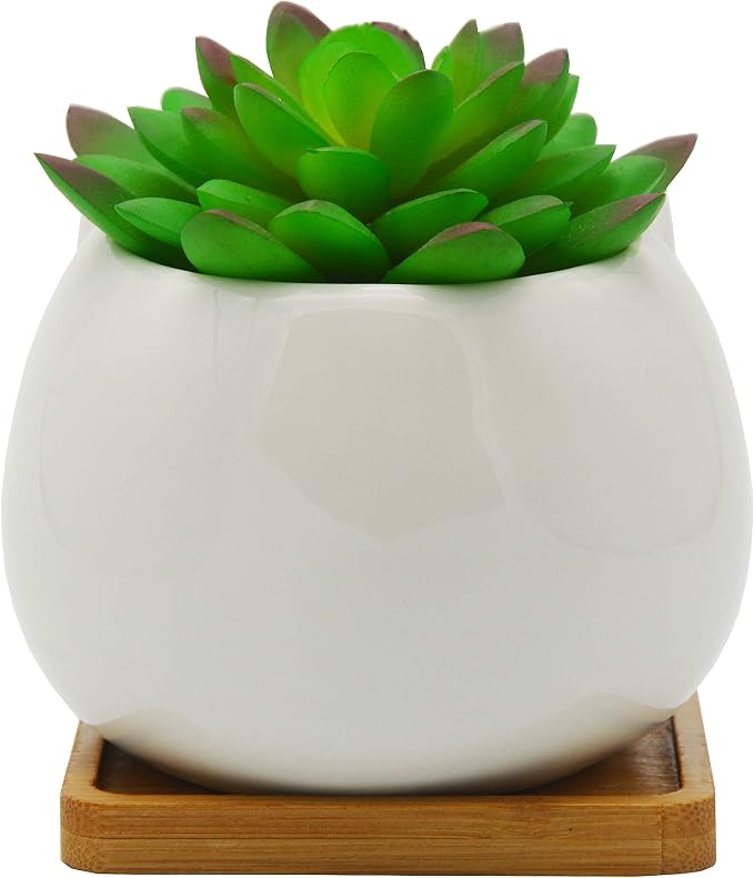 Cuteforyou Succulent Pots,Cute Animal Shaped Cartoon Ceramic Succulent Cactus Flower Planters with Bamboo Tray -Plant Not Included (Elf)