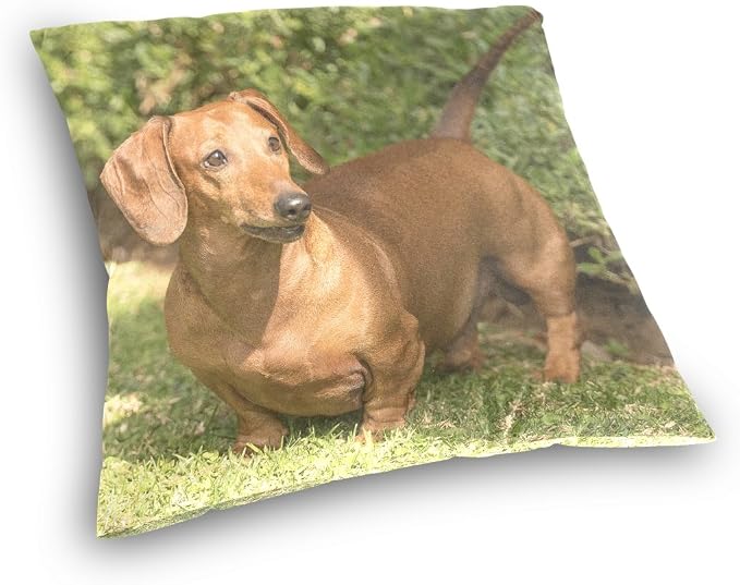 Hokkien Dachshund Dog Decorative Square Throw Pillow Case Cushion Cover for Sofa Bedroom Car Double-Sided Design 16 x 16 inch