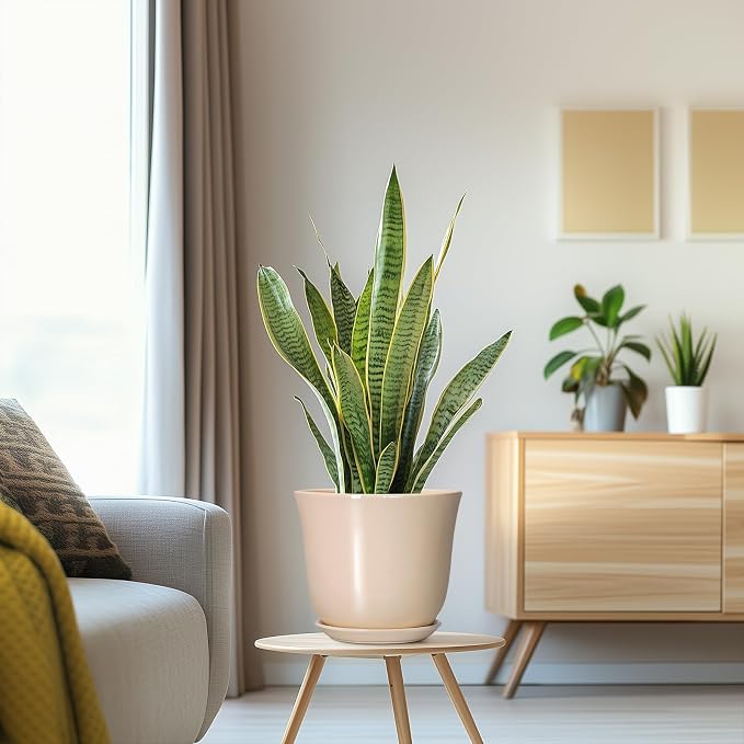 8 Inch Plant Pot, Ceramic Pots for Plants Indoor, Beige | Round Flower Pots with Drainage Hole and Saucer, Modern Decorative Planters, Home Office Desk Room Decor, Plant Lover Gifts
