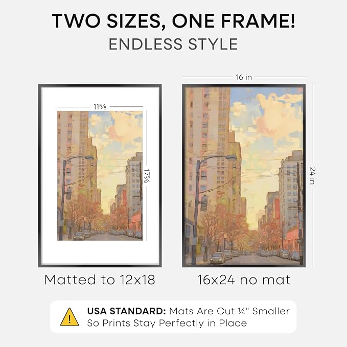 Homeforia 16x24 Black Picture Frame, High-End Metal, 12x18 Mat, Glass