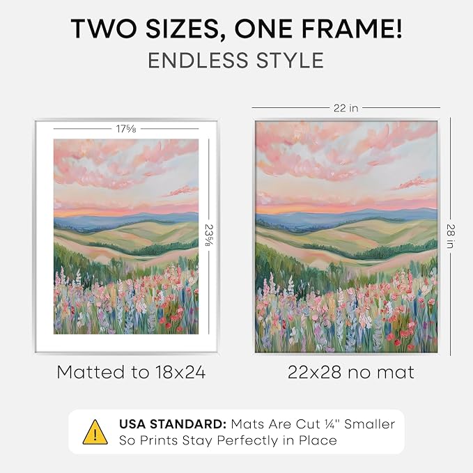 Homeforia 22x28 Silver Poster Frame, High-End Metal, 18x24 Mat, Glass