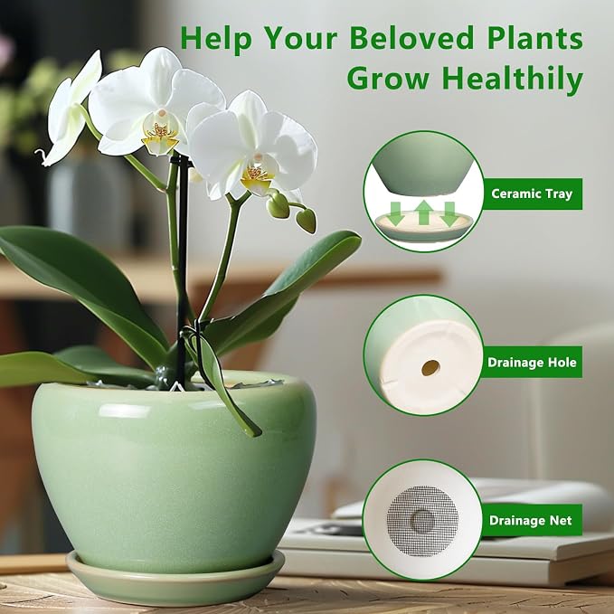 Ceramicfor Ceramic Planter Pot, 10 Inch Plant Pot, Reactive Green | Decorative Planter with Drainage Hole and Saucer, Large Round Flower Pot for Indoor Plants, Garden Decor