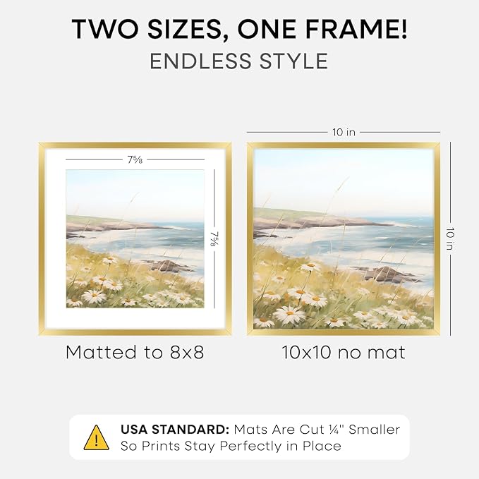 Homeforia 10x10 Gold Picture Frame, High-End Metal, 8x8 Mat, Glass