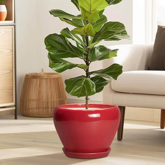 Ceramicfor 10 Inch Plant Pot, Ceramic Planter for Indoor Plants, Glossy Red | Round Planter with Drainage Hole and Saucer, Glaze, Modern, Home Room Garden Decor, Gifts for Plant Lovers