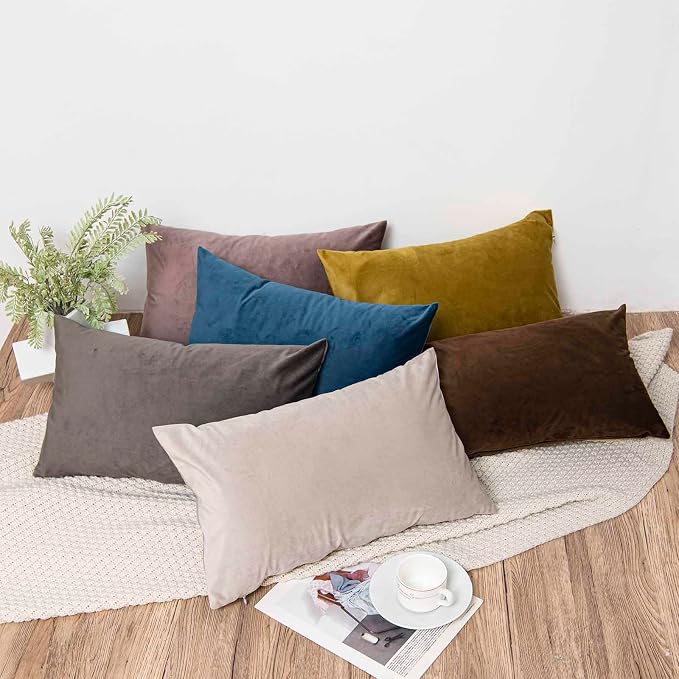 Throw Pillow Covers Set of 2 for Couch Bed Velvet Cushion Cover 14x14,Ash