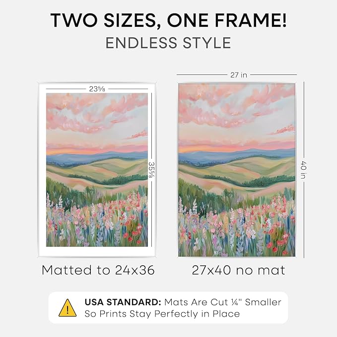 Homeforia 27x40 Silver Poster Frame, High-End Metal, 24x36 Mat, Glass
