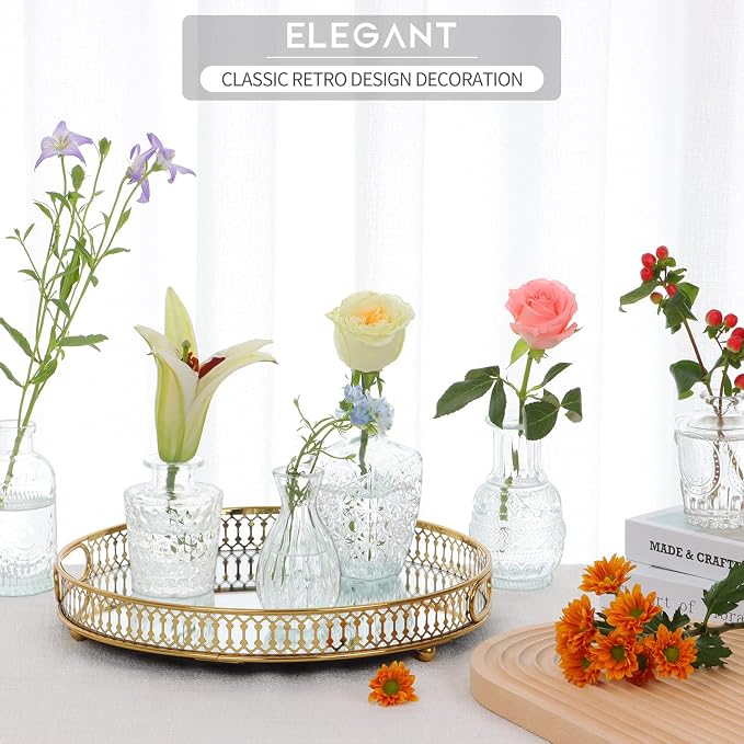 8 Pcs Glass Bud Vases Clear Vintage Small Flower Vases for Table Decor