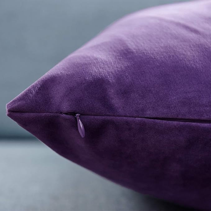 JUSPURBET 24x24 Euro Velvet Throw Pillow Covers Set of 2,Purple