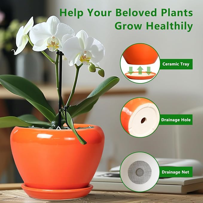 Ceramicfor Ceramic Plant Pot 6 Inch - Ceramic Planter for Indoor Plants Outdoor, Glaze Round Modern Flower Pot with Drainage Hole and Saucer, Gift for Plant Lover, Home Garden Room Decor, Orange