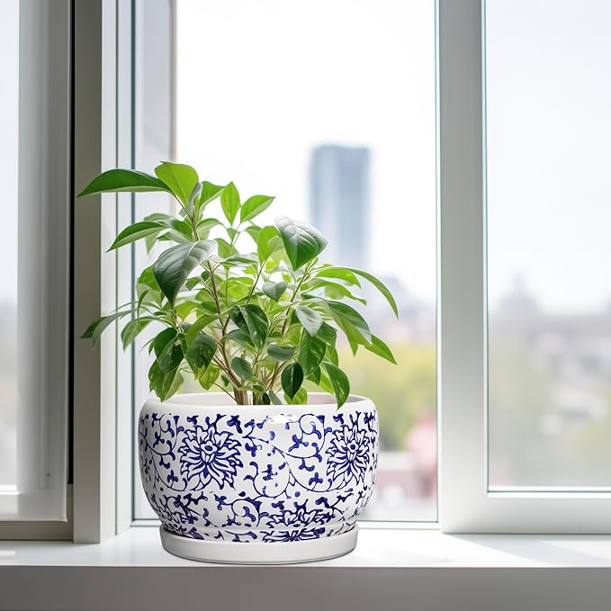 SQOWL Ceramic Pots for Plants - 10 Inch Ceramic Flower Pots with Drainage Hole and Saucer, Round Large Planter Indoor, Decorative Porcelain Planter Outdoor, Home Decor, Birthday Gifts, Blue and White