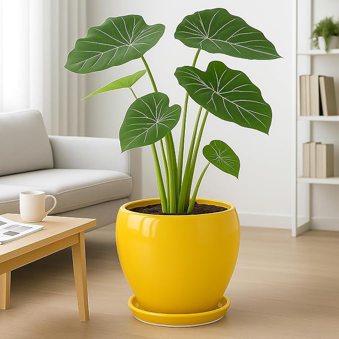 Deep Dream 10 Inch Plant Pot- Ceramic Planter Pot Round Plant Pots for Indoor Plants Outdoor Large Flower Pot with Drainage Holes & Trays, Yellow