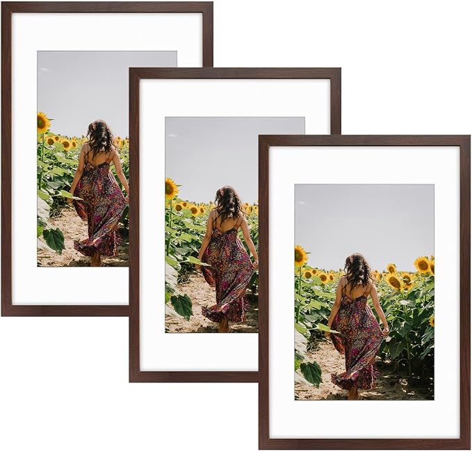 Frametory 3 Pack 16x24 Brown Picture Frame with Real Glass Mat for 12x18