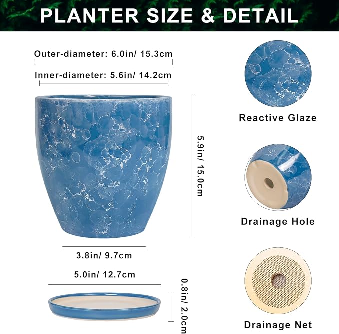 6 Inch Ceramic Plant Pot - Ceramic Planters Indoor, Blue | Round Decorative Planter with Drainage Hole and Saucer, Modern Planters, Desk Office Decor, Housewarming Gifts