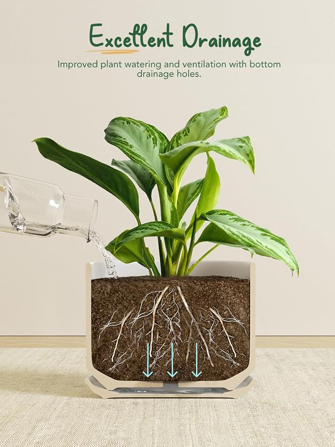 LE TAUCI Ceramic Pots for Plants, Set of 2, 10 + 12 Inch Plant Pot with Drainage Hole and Saucer, Durable & Stylish Planters for Indoor Plants, Elevate Your Home’s Aesthetic, White