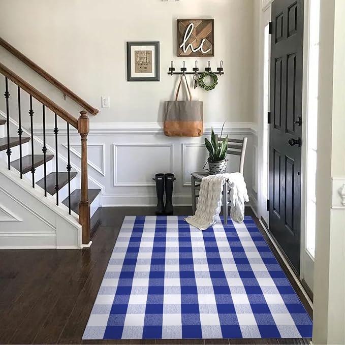 SEEKSEE Buffalo Plaid Rug 4' x 6' Blue and White Large Front Door Mat, Layering Area Rug, Summer Rug for Outdoor Patio Entryway Indoor Living Room Kitchen Dining Room Decor