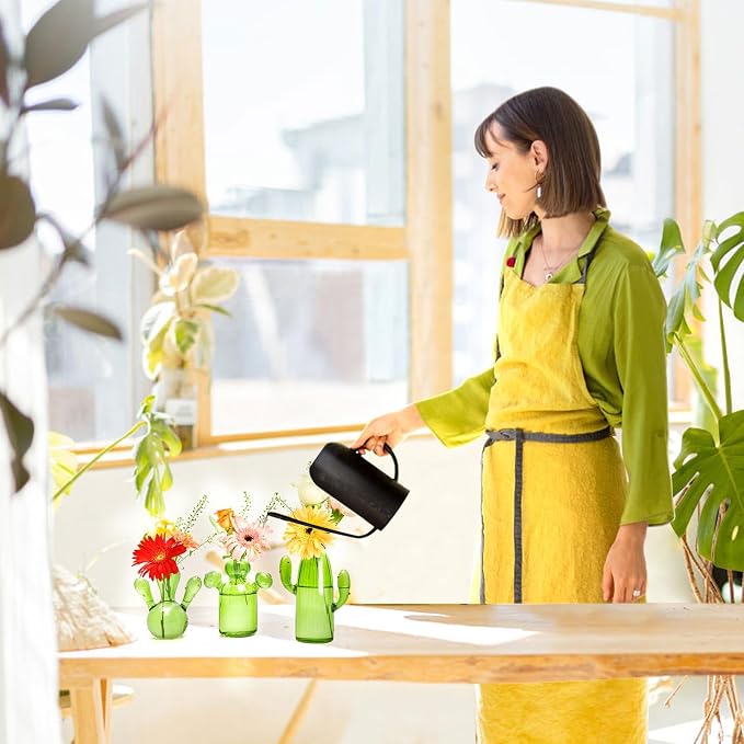 XXXFLOWER Cactus Plant Propagation Station 3 Cactus Vase Terrarium Jars | Desk Plant Cuttings Plant Holders Unique Glass Flower Vase for Hydroponics Plants for Plant Lovers Home Garden Decor