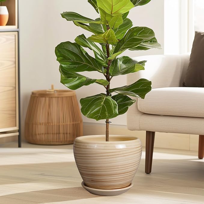 Ceramicfor Planter Pot 8 Inch, Ceramic Pot for Plants, Yellow | Indoor Plant Pot with Drainage Hole and Saucer, Round Planter, Modern Flower Pot, Succulent Pot for House Patio