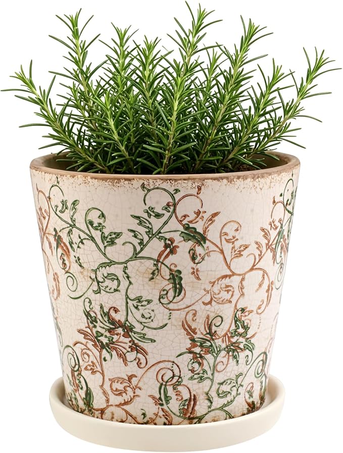 Ceramic Flower Pots for Indoor Plant with Drainage Hole & Saucer