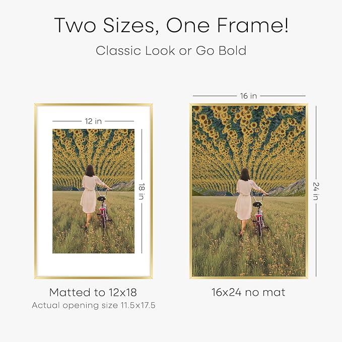 Homeforia 16x24 Gold Picture Frame, High-End Metal, 12x18 Mat, Glass