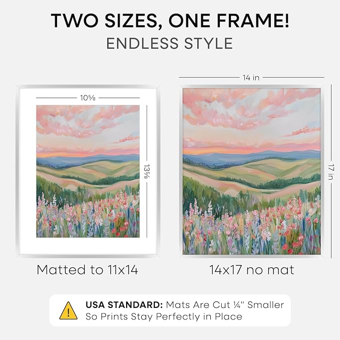 Homeforia 14x17 Silver Picture Frame, High-End Metal, 11x14 Mat, Glass